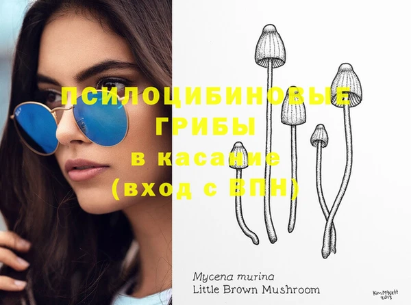 круглые Козловка